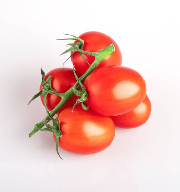 Beyaz arka planda izole edilmiş bir dalda domates.