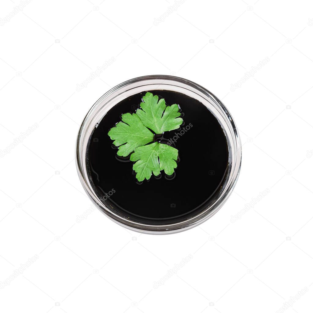 soy sauce with a parsley leaf in a transparent bowl isolated on a white background