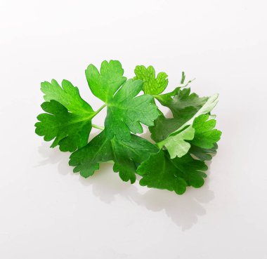Beyaz arka planda izole edilmiş taze bir maydanoz yaprağı.
