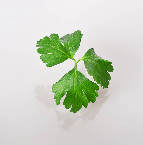 Une Feuille Persil Frais Isolée Sur Fond Blanc — Photo