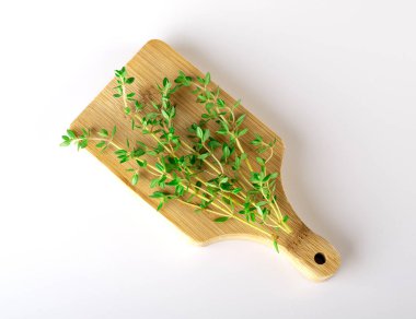 beyaz arkaplanda izole edilmiş kekik filizleri