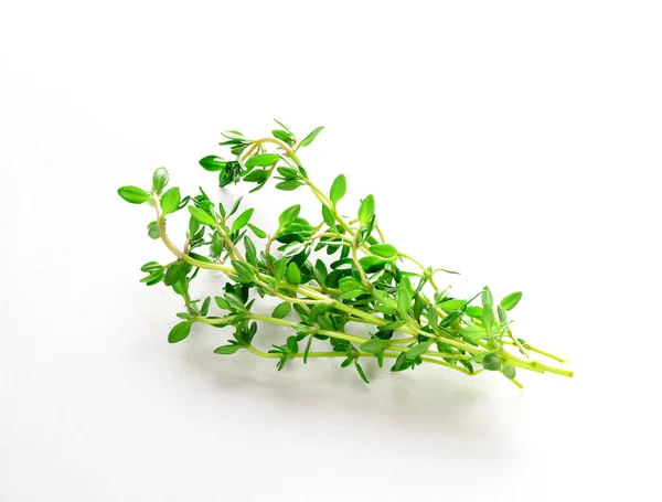 Thyme Sprig Isolado Fundo Branco — Fotografia de Stock