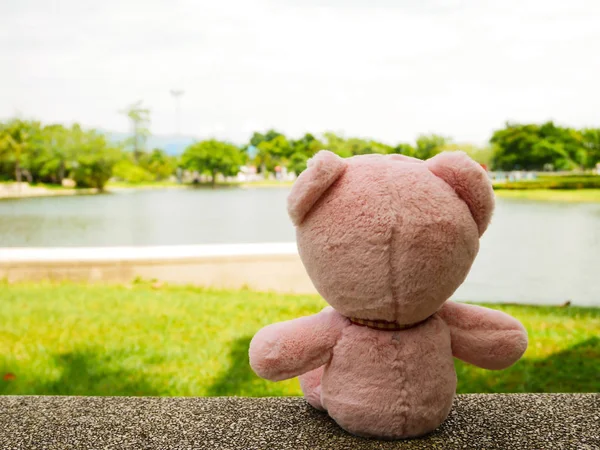 Urso boneca relaxar — Fotografia de Stock