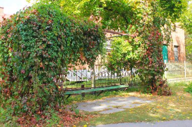 sonbahar Park'taki eski tezgah  