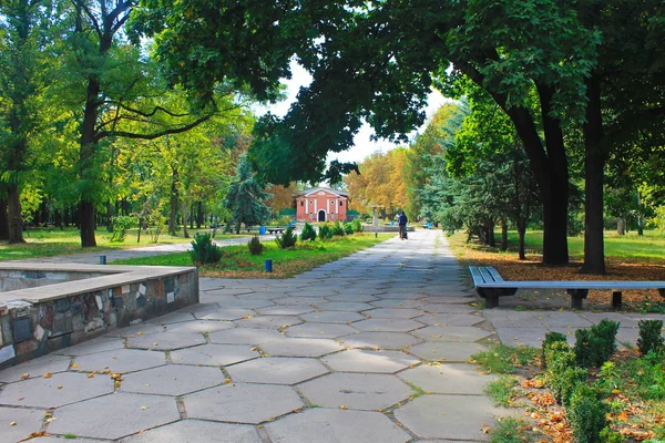 Hermosos árboles de otoño en el parque urbano — Foto de Stock