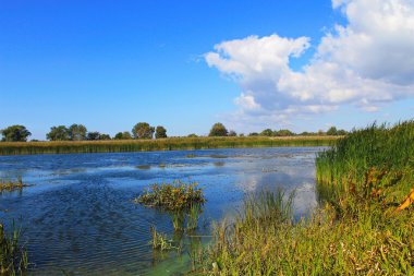 Dinyeper nehrinin manzarası 