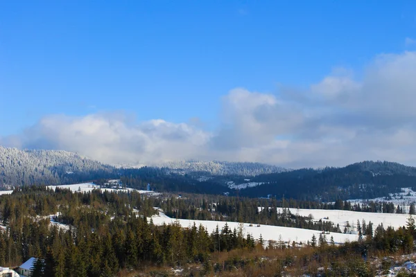 Montagnes des Carpates en Ukraine — Photo