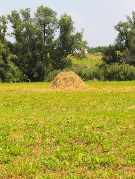 Haystacks sur prairie — Photo