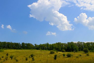 Yaz, yatay, çayır, ağaçlar ve tepeler