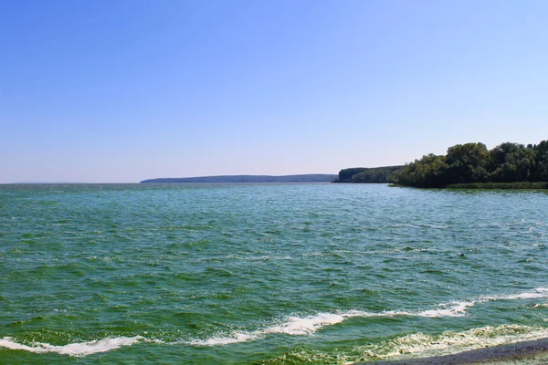 Floração de água verde em reservatório no rio Dnieper — Fotografia de Stock