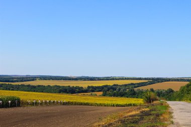 Yaz peyzaj alanları ve tepeler