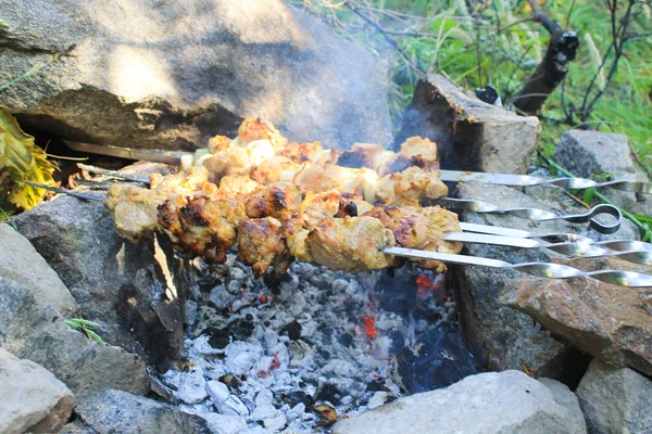 Shish kebab on bonfire — Stock Photo, Image