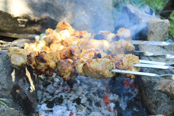 Shish kebab sur le feu de joie — Photo