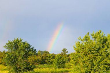 gökkuşağı ile kırsal manzara