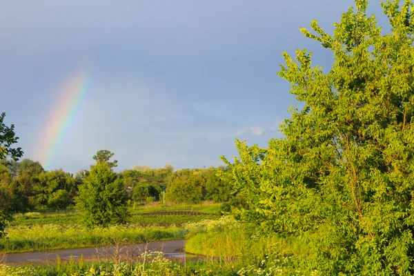 gökkuşağı ile kırsal manzara