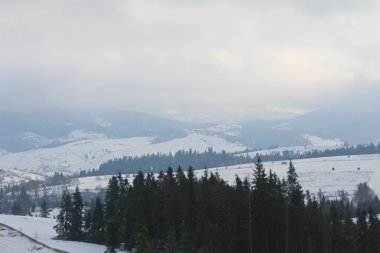 Ukrayna 'daki Karpat Dağları