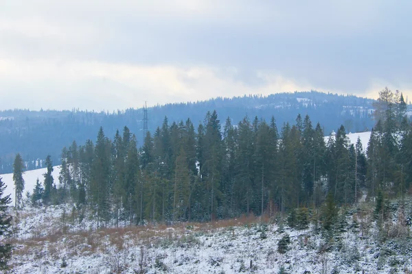 Montagnes des Carpates en Ukraine — Photo