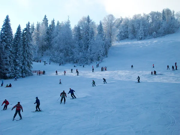 Skiërs op een helling op ski-oord in de Karpaten, Oekraïne — Stockfoto
