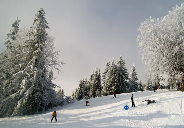 Skiers on a slope at ski resort in Carpathians, Ukraine — Stock Photo, Image