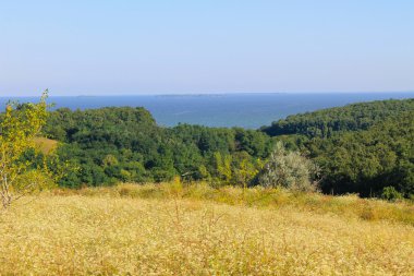 Ağaçlar, çayır, tepeler ve nehir manzara