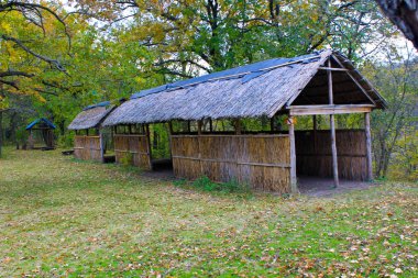 Sonbahar ormanında piknik alanı