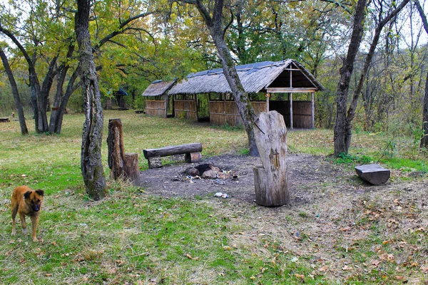 Место для пикника в осеннем лесу — стоковое фото