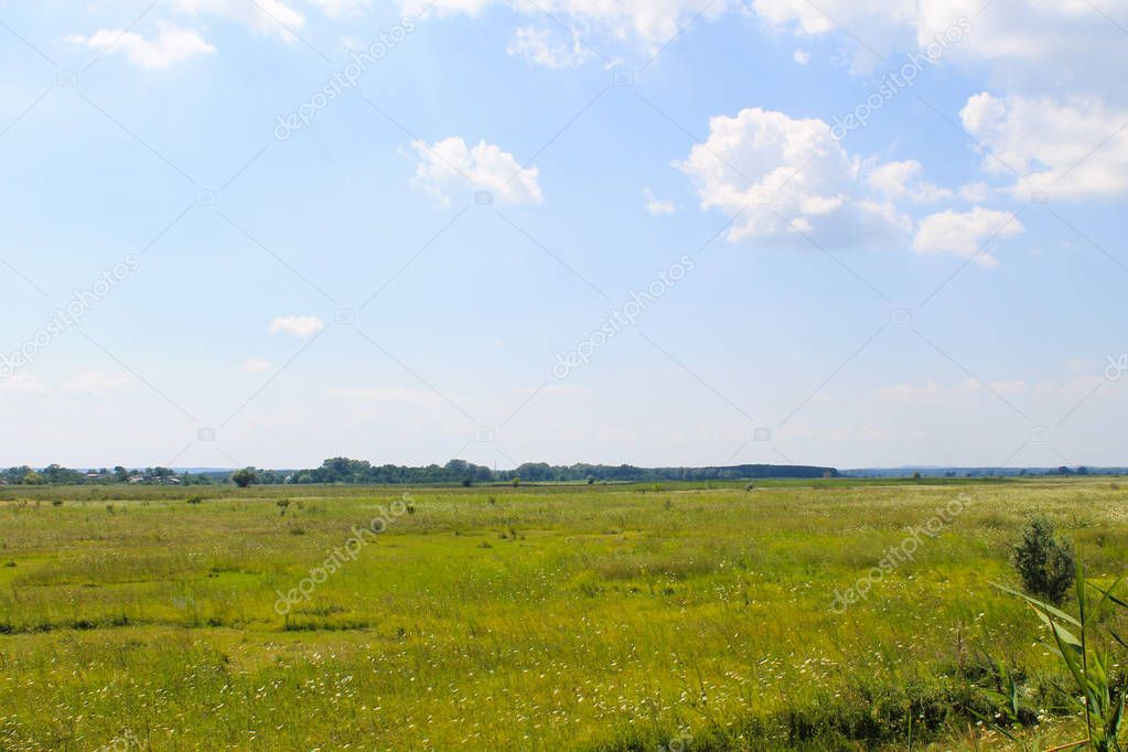 Wide meadow and blue sky