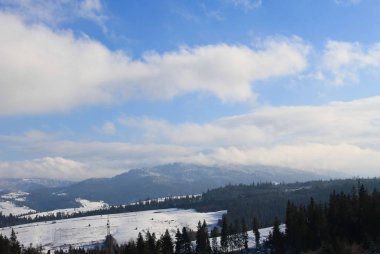 Ukrayna 'daki Karpat Dağları