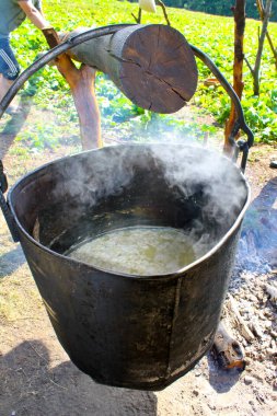 Dağ grupta organik peynir yapma