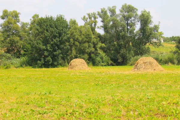 Haystacks sur la prairie — Photo
