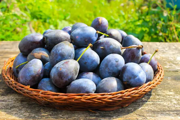 Frische Pflaumen in rustikaler Schale auf altem Holzgrund — Stockfoto