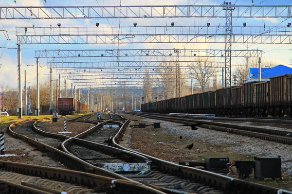 Vue sur la voie ferrée et les trains de marchandises — Photo