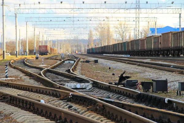 Tren yolu ve kargo trenler görüntüleme 