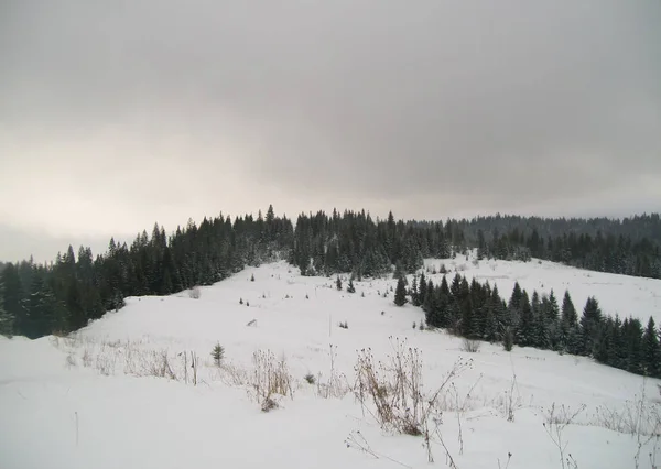 Vista sobre el invierno Cárpatos en Ucrania — Foto de Stock
