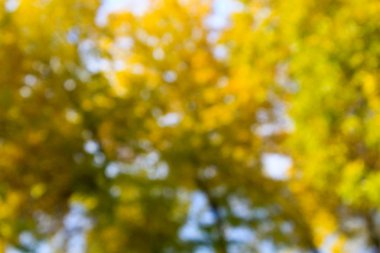 sarı arka plan bulanık