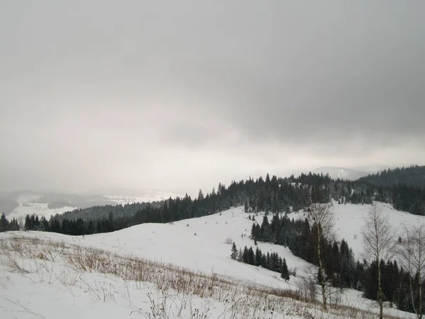 Kış Ukrayna Karpatlar görüntüleyin — Stok fotoğraf