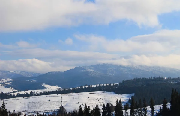 Montagnes des Carpates en Ukraine — Photo