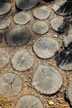 Kaldırım kıyılmış günlükleri 