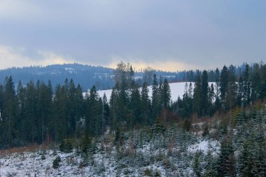 Ukrayna 'daki Karpat Dağları