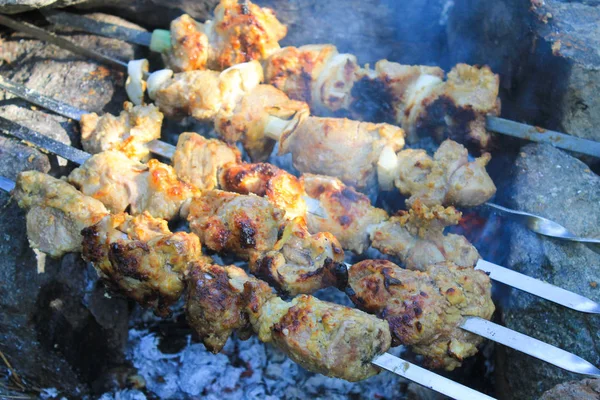 Şenlik ateşi üzerinde şiş kebap — Stok fotoğraf