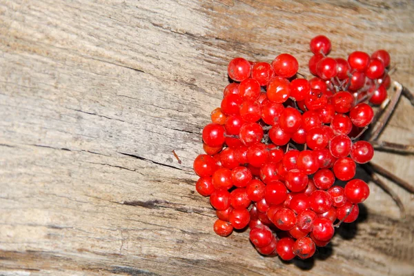 Красные ягоды вибурнума на деревянном фоне — стоковое фото