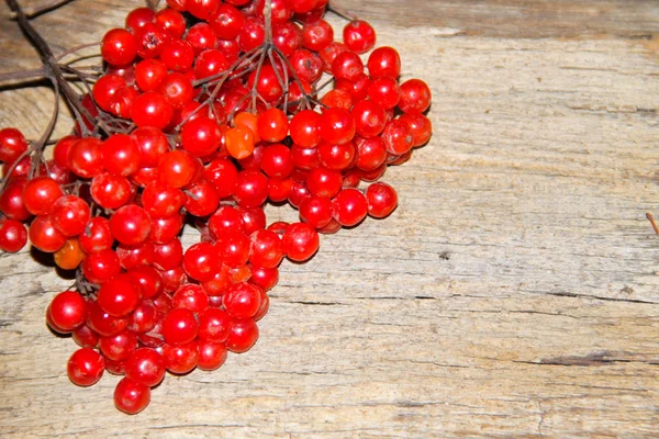 Красные ягоды вибурнума на деревянном фоне — стоковое фото