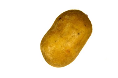 Beyaz arka plan üzerinde izole bir patates
