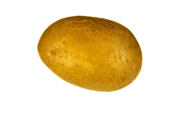 흰색 바탕에 고립 된 한 감자 — 스톡 사진