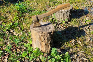 Bir günlüğüne yapışmasını balta