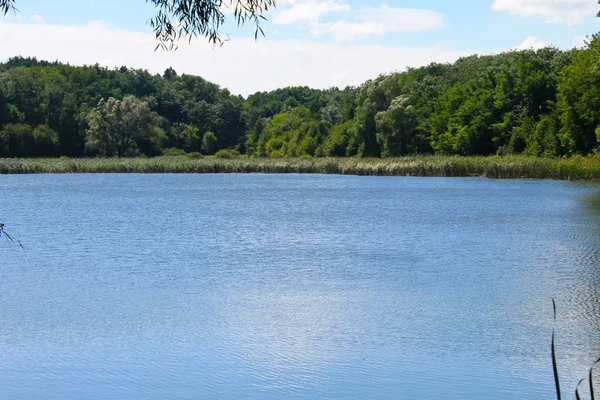 Krásné jezero v létě — Stock fotografie