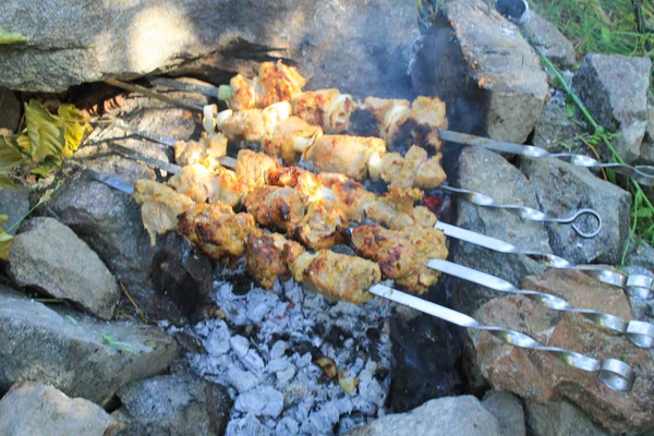 Shish kebab sur le feu de joie — Photo
