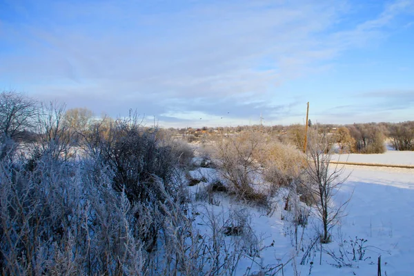 冬の田園風景 — ストック写真