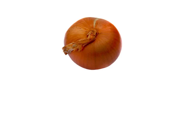 One onion isolated on white background — Stock Photo, Image