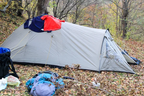 Touristenzelt auf der Liegewiese im Wald — Stockfoto